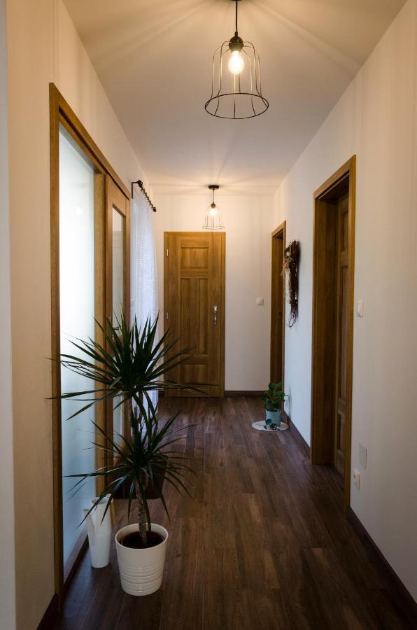 Apartmany U Kotacku Veverske Kninice Buitenkant foto