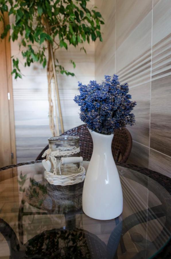 Apartmany U Kotacku Veverske Kninice Buitenkant foto